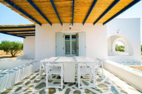 Aegean Villa in Paros
